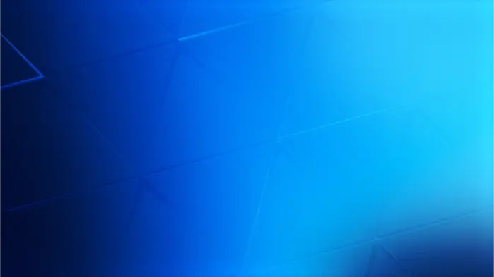 Adelaide Strikers | 2024 season